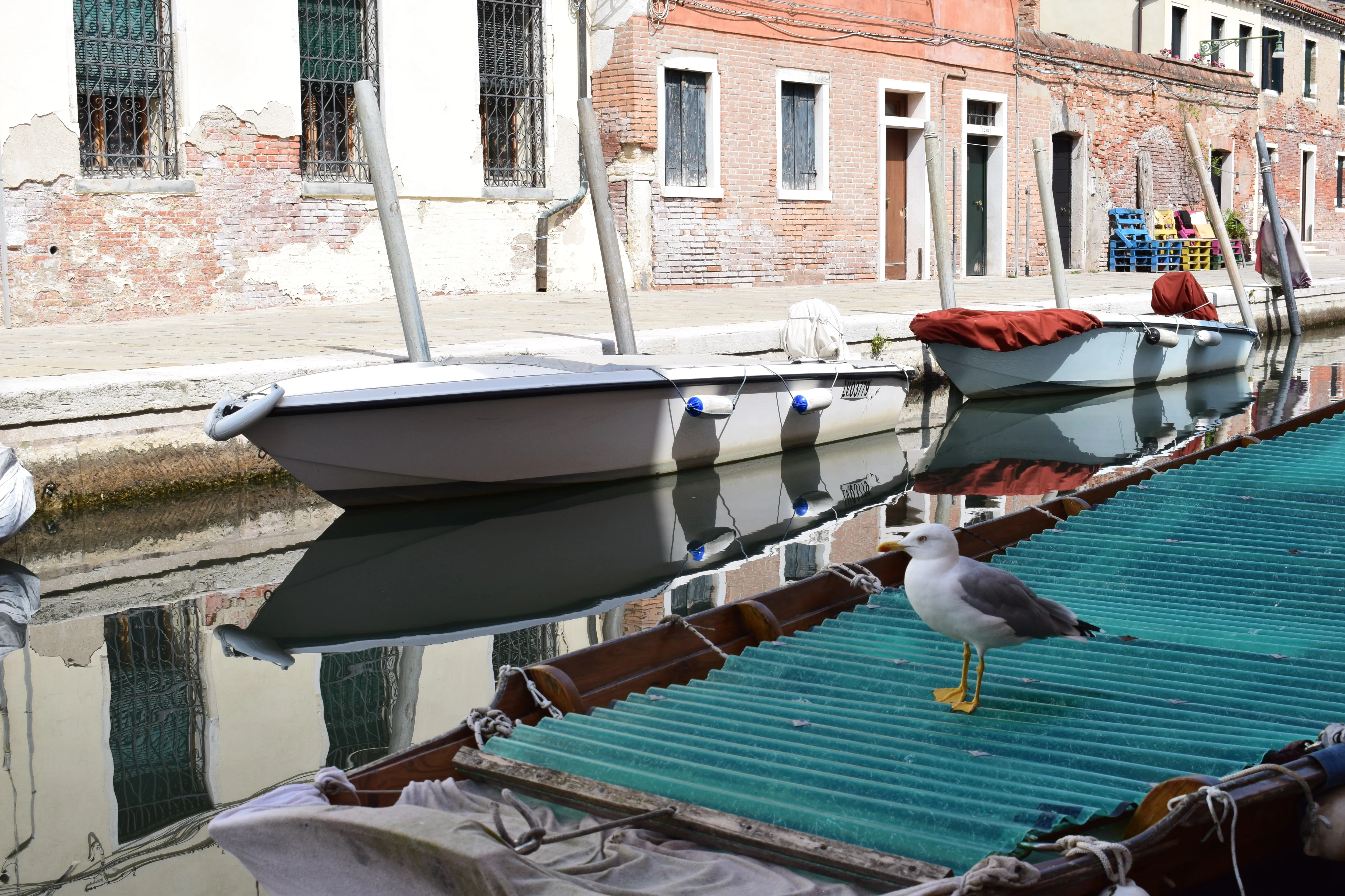 ベネチア運河と船とカモメの写真