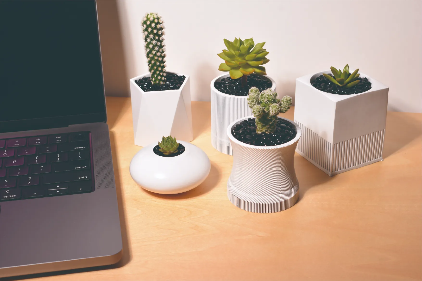 パソコンの横に置かれた多肉植物が植えられた5つの白い鉢